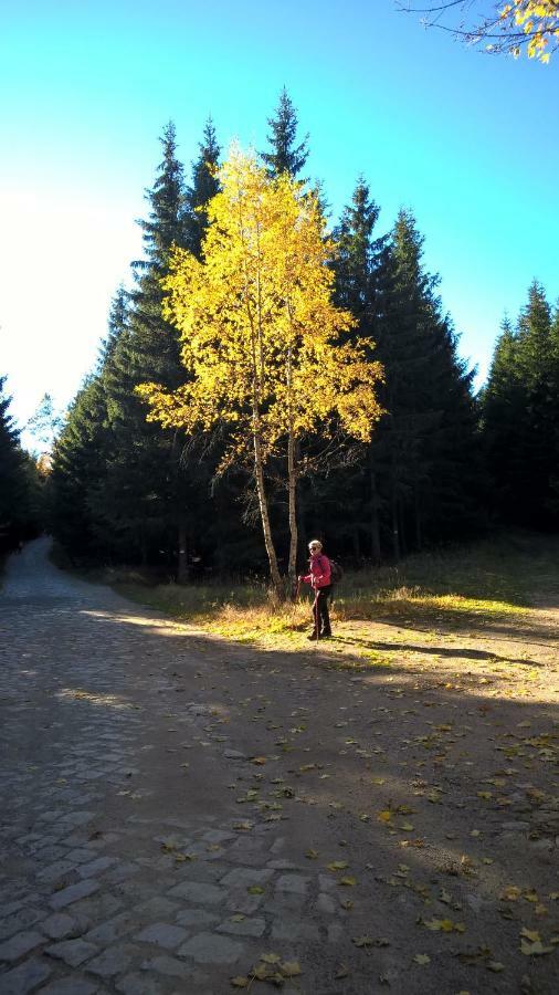 Pokoj Kameralny- De Luxe Z Oddzielnym Wejsciem Karpacz Luaran gambar