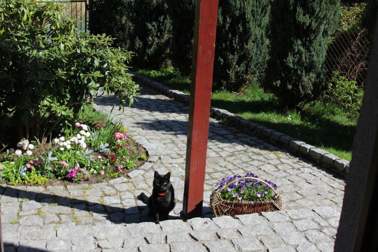 Pokoj Kameralny- De Luxe Z Oddzielnym Wejsciem Karpacz Luaran gambar